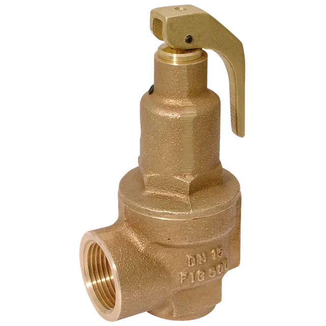 NABIC 1.1/2" X 2" High Lift Safety Valve