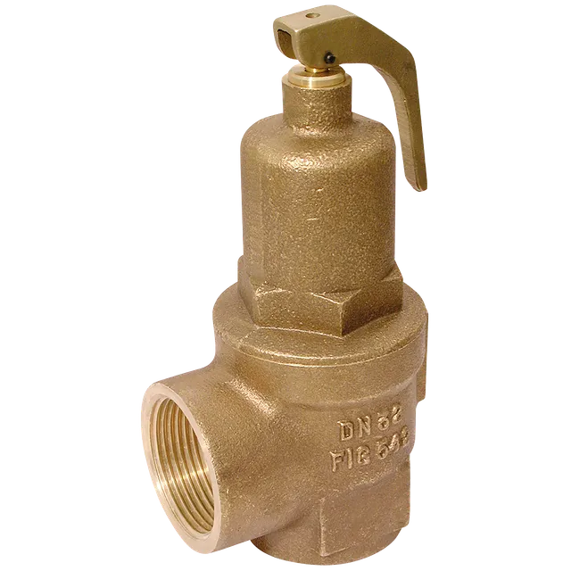 NABIC 2.1/2" Safety Relief Valve