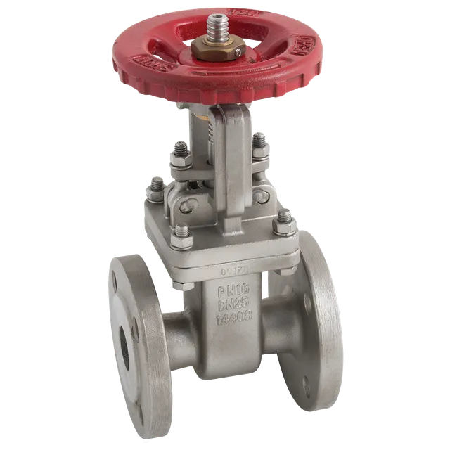 Haitima PN16 Flange SS Gate Valve Handwheel
