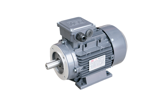 TEC IE3 Electric Motor 6 Pole 1000 RPM / 90 Kw / Frame Size:315M-6 / Cast Iron B34 Foot & Flange Mounted